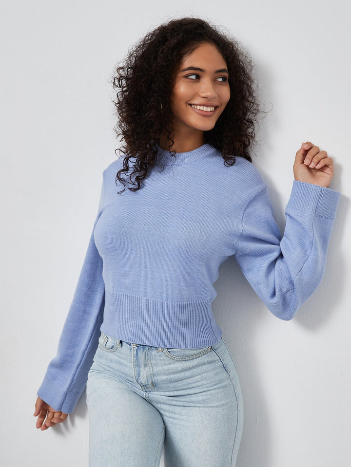 ZARAY – Cropped Ribbed Knit Sweater